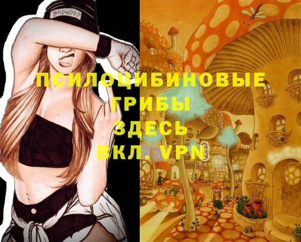 не бодяженный Абинск