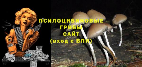 не бодяженный Абинск