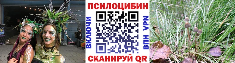 hydra ТОР  где купить наркоту  это наркотические препараты  Галлюциногенные грибы Psilocybine cubensis  Чекалин 